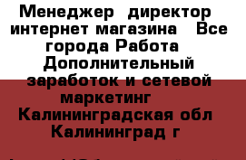 Менеджер (директор) интернет-магазина - Все города Работа » Дополнительный заработок и сетевой маркетинг   . Калининградская обл.,Калининград г.